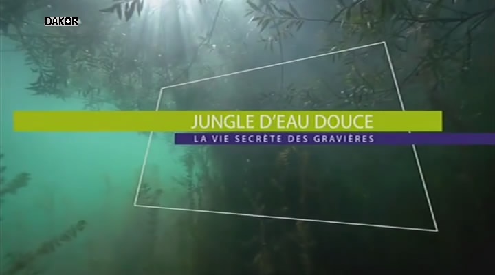 Jungle d'eau douce - La vie secrète des gravières [TVRIP]