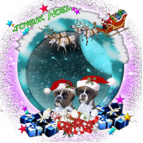 1.Noël 006
