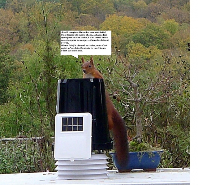 12111106394815701010540148.jpg