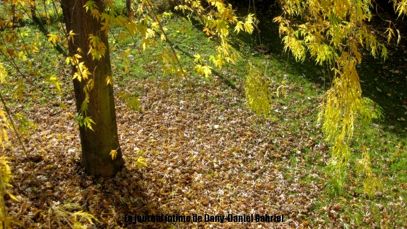 automne 2012 alpes