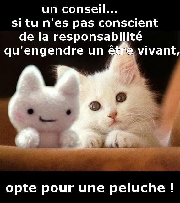 touche pas aux animaux