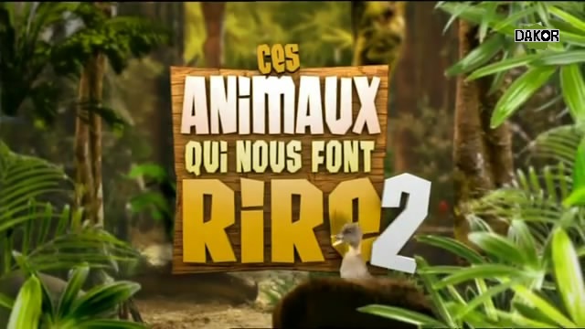 Ces animaux qui nous font rire 2 [TVRIP]