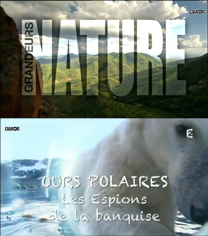 Grandeurs nature - Ours polaires, les espions de la banquise [TVRIP]