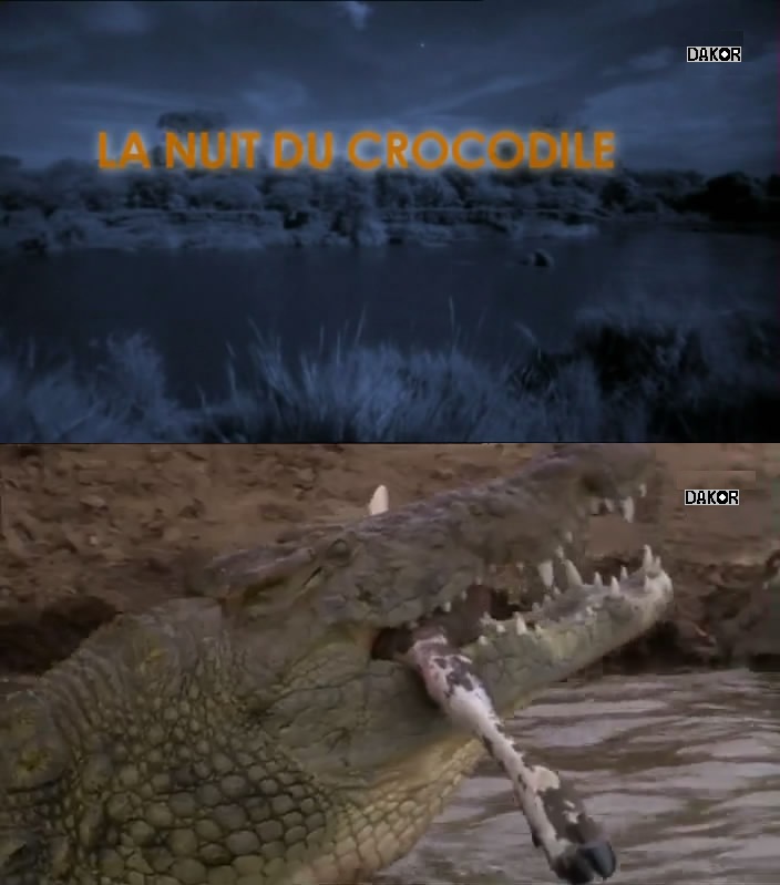 La nuit du crocodile [TVRIP]