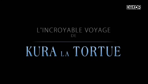 L'incroyable voyage de Kura la tortue - 30/12/2012 [TVRIP]