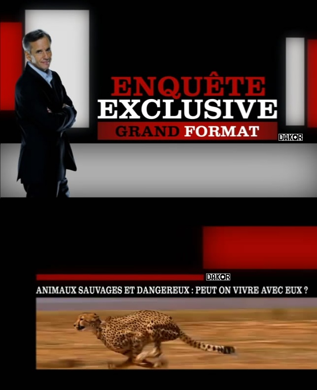 Enquête Exclusive grand format - Animaux sauvages et dangereux: peut on vivre avec eux ? - 30/12/2012 [TVRIP]