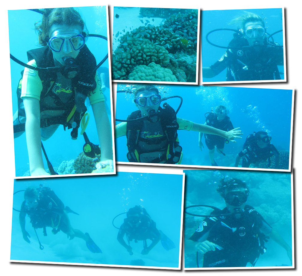 http://nsm08.casimages.com/img/2013/01/12//1301121251334432410751811.png