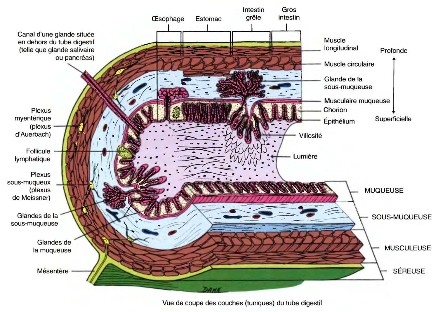 hebergeur image