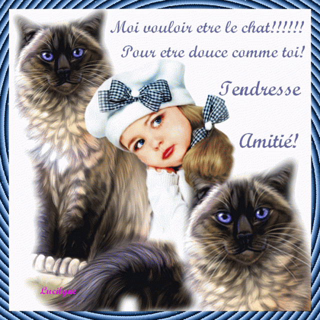 amitie-chat-1fb27c7