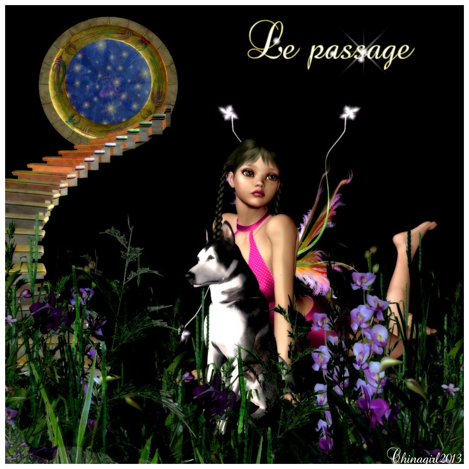 hebergeur image