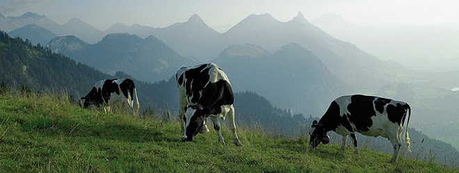 hebergeur image