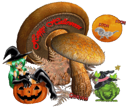 1.Halloween 018