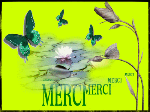 3.Remerciements 010