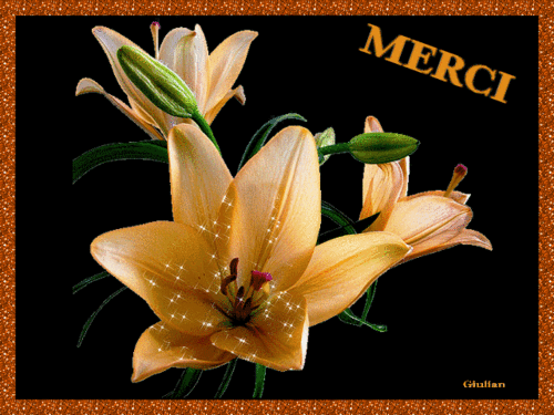 3.Remerciements 009