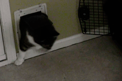 http://nsm08.casimages.com/img/2013/04/21//13042101385110078411107706.gif