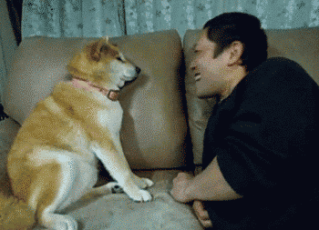 http://nsm08.casimages.com/img/2013/04/28//13042807235510078411131408.gif