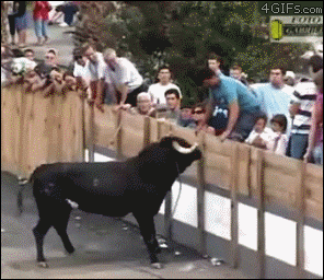 http://nsm08.casimages.com/img/2013/04/28//13042807323310078411131453.gif