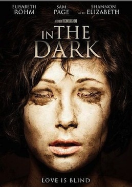 Dans l'ombre du doute |FRENCH| [DVDRIP]