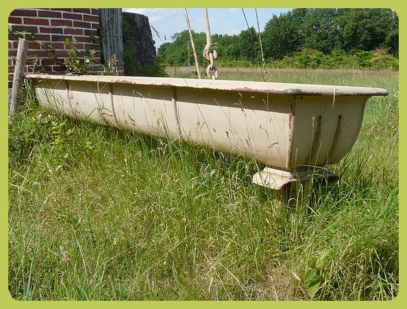 1306060835481370311267950.jpg