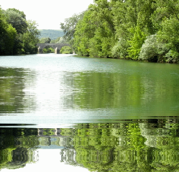 hebergeur image