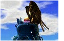 Fort Condor