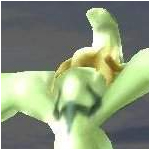 Dol