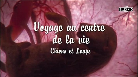 Voyage au centre de la vie - Chiens et loups Voyage au centre de la vie - Chiens et loups