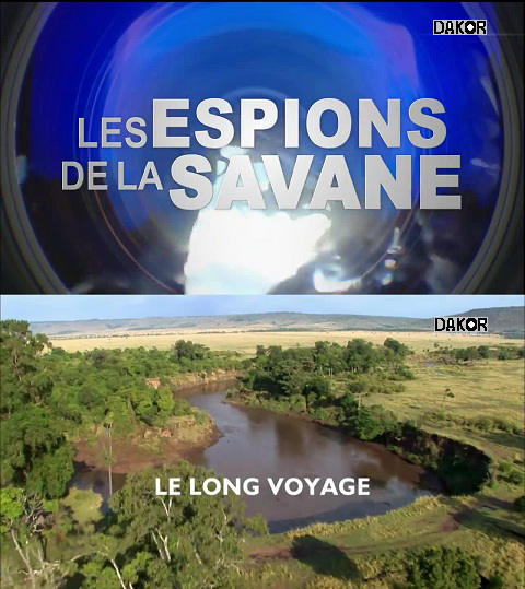 Les Espions de la savane: Le long voyage Les Espions de la savane: Le long voyage