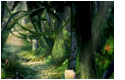 Forêt de Kilika