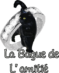 baguedelamitie