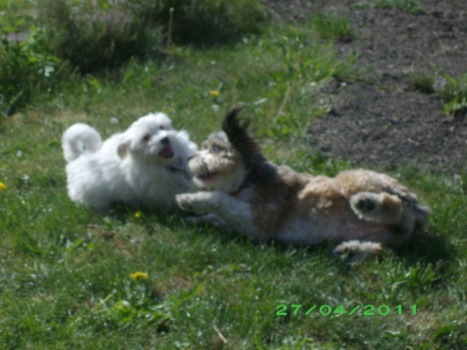 Rencontre 82