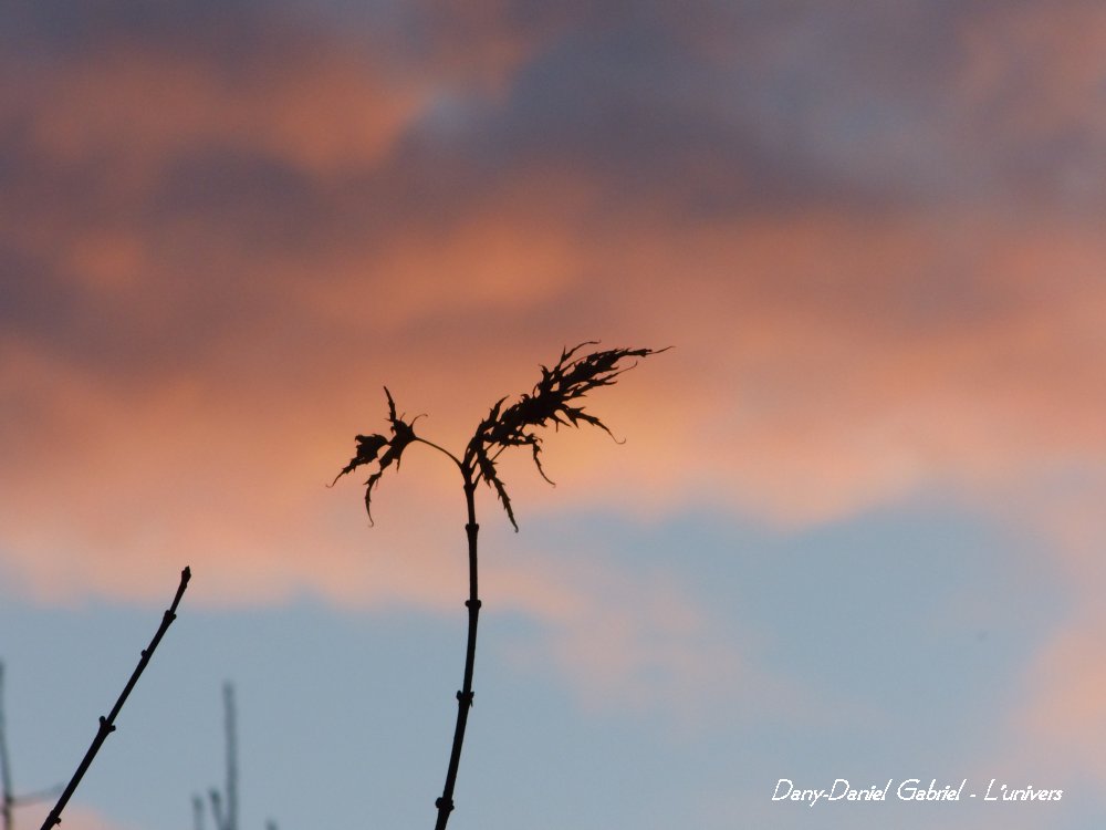 photo automne 2013 alpes