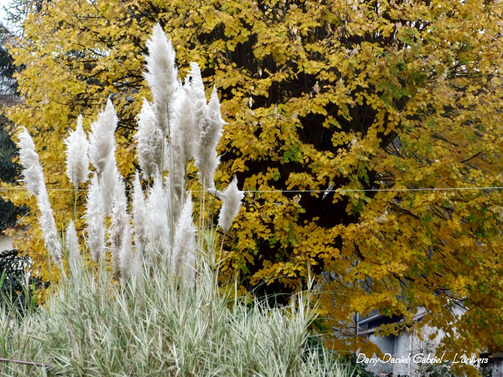 photo automne 2013 alpes savoie