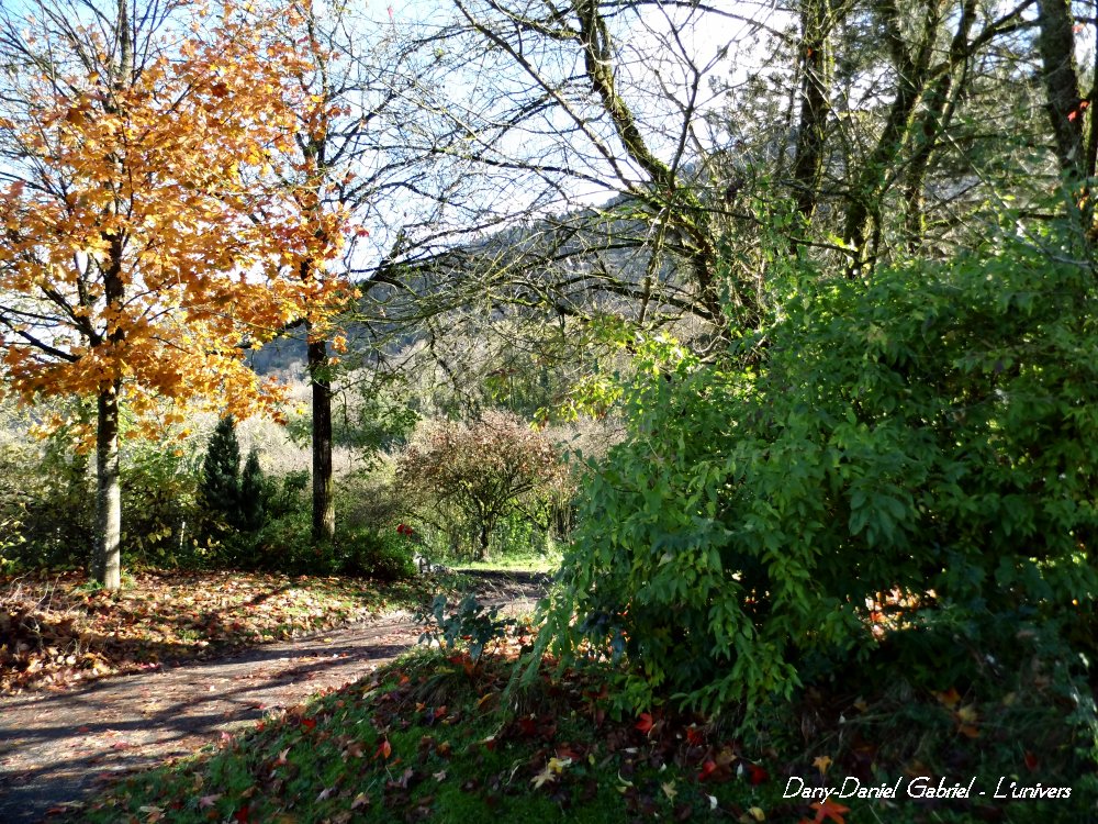photo automne 2013 alpes savoie