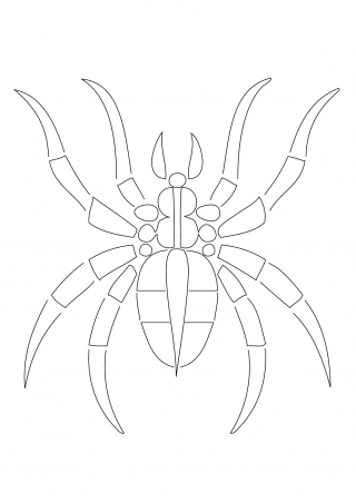 araignée