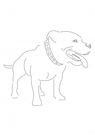 chien