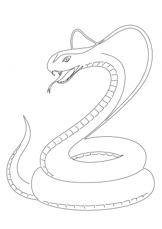 serpent