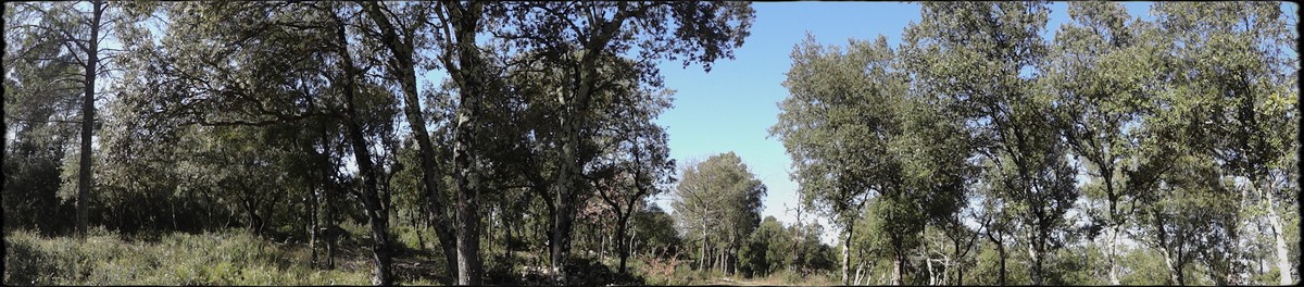 hebergeur image
