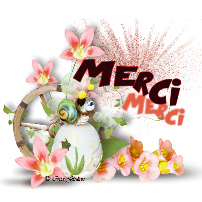3.Remerciements 008