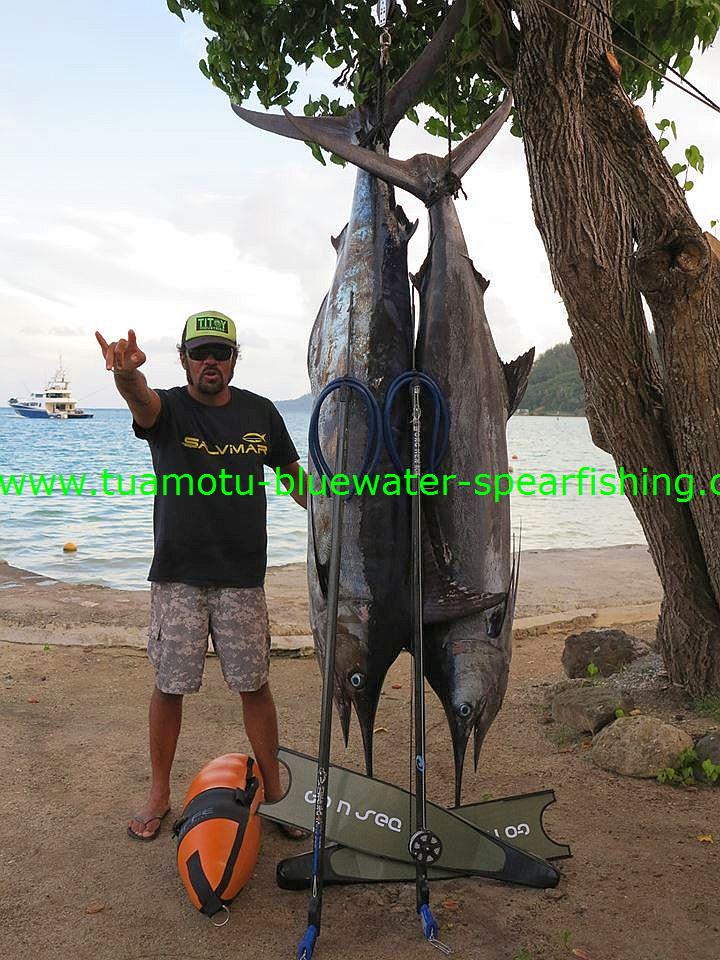 Bluewater Spearfishing – Spear Fishing Baja