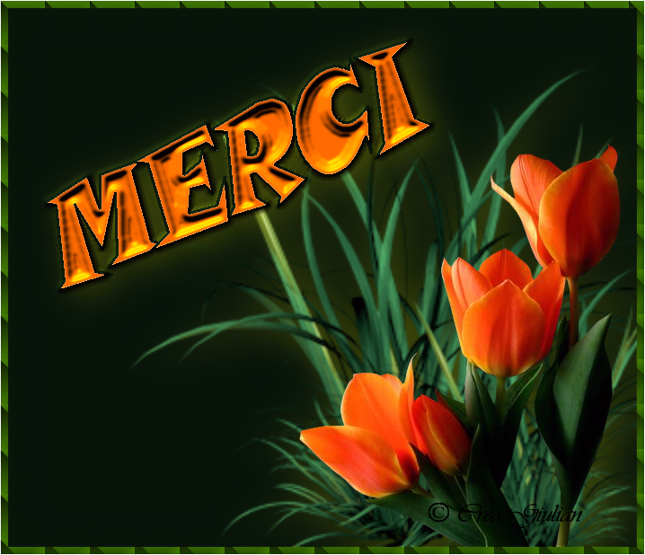 3.Remerciements 007