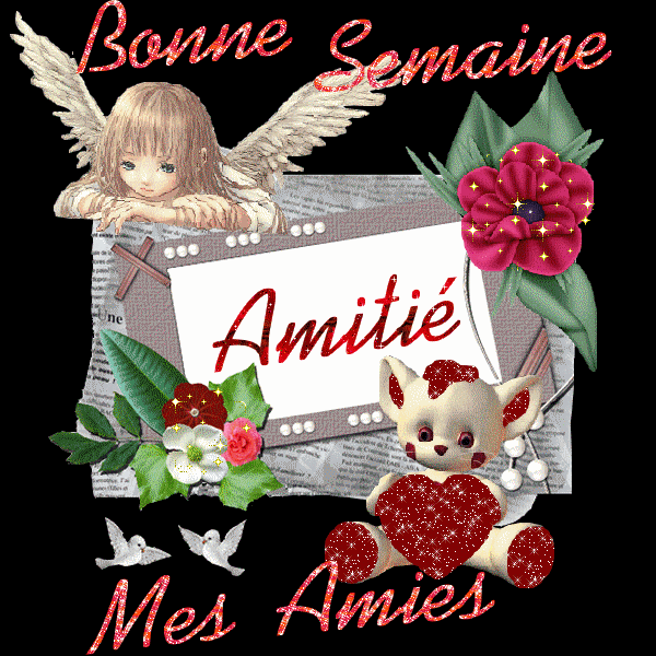3214266557_1_12_bCRMMKWl