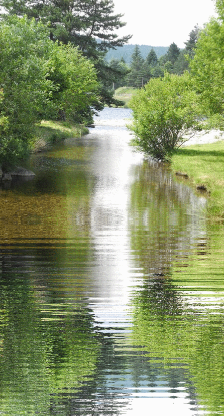 hebergeur image