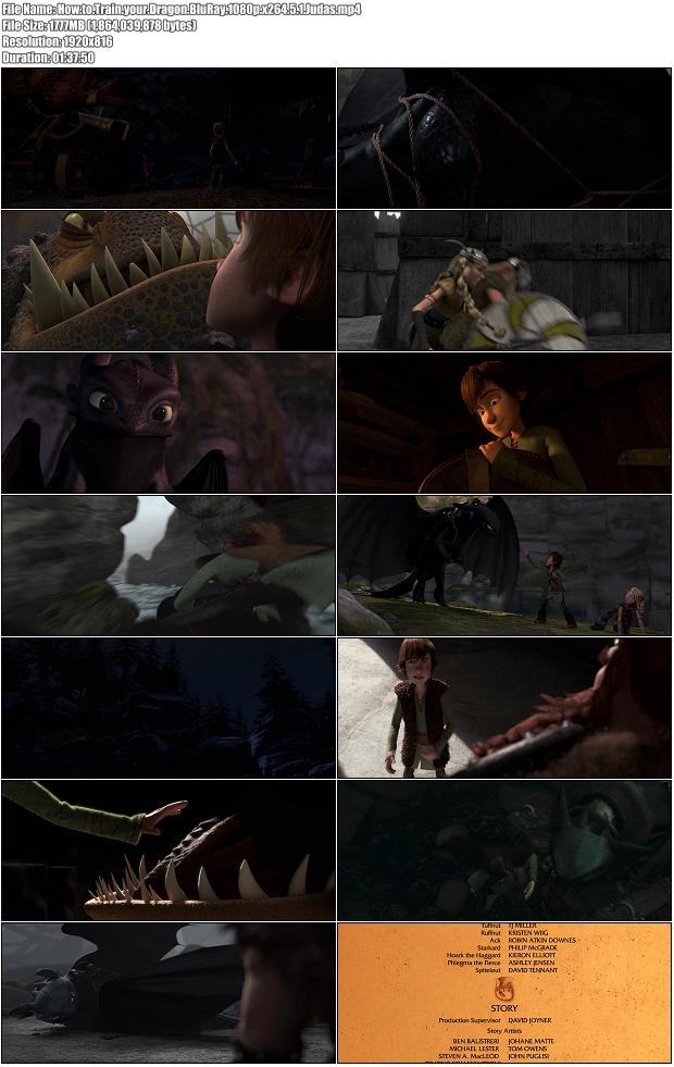 How.to.Train.your.Dragon.2010.BluRay.1080p.x264.5.1