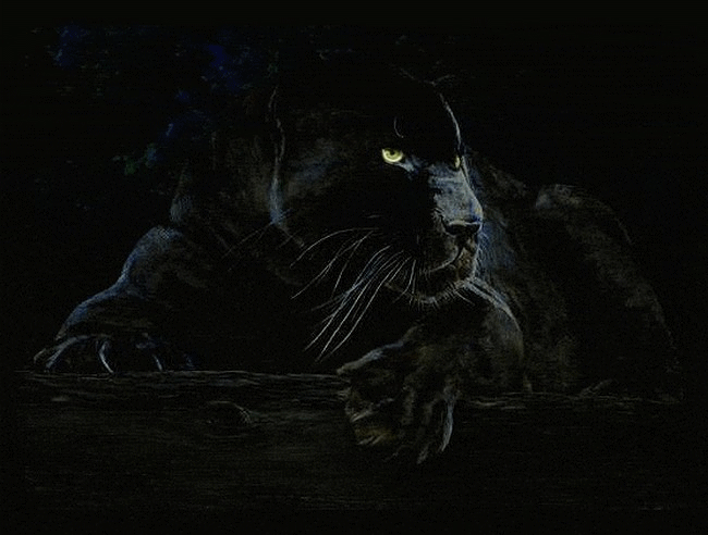 hebergeur image