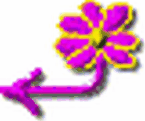 Retour aux fleurs bleues Retour aux fleurs bleues