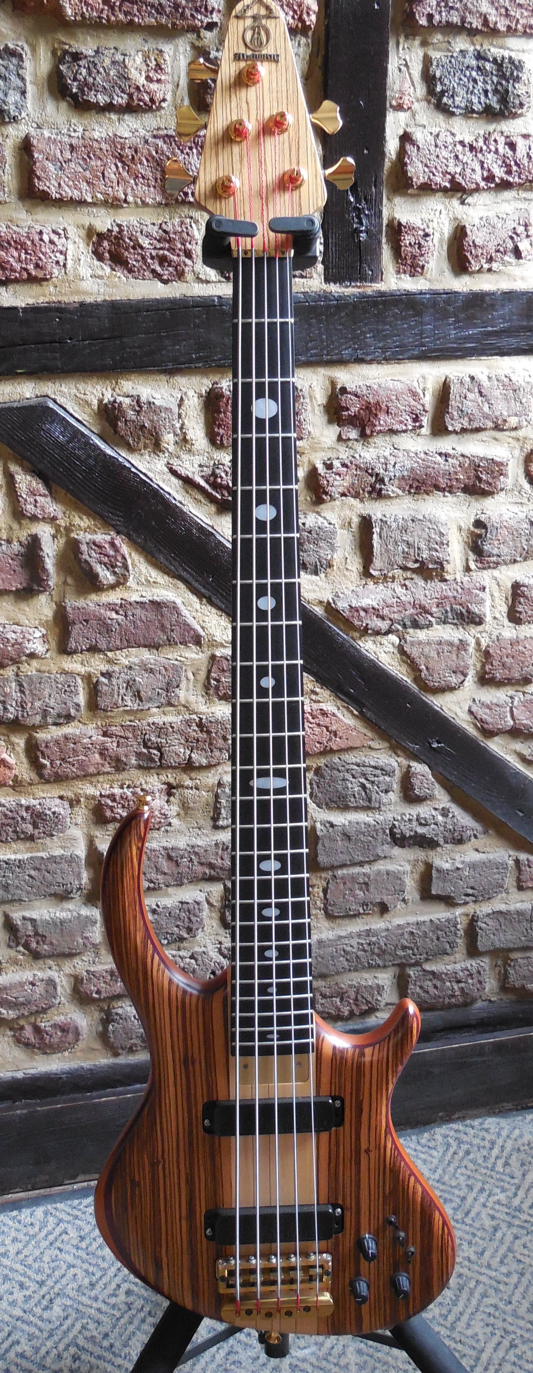 alembic rogue 5