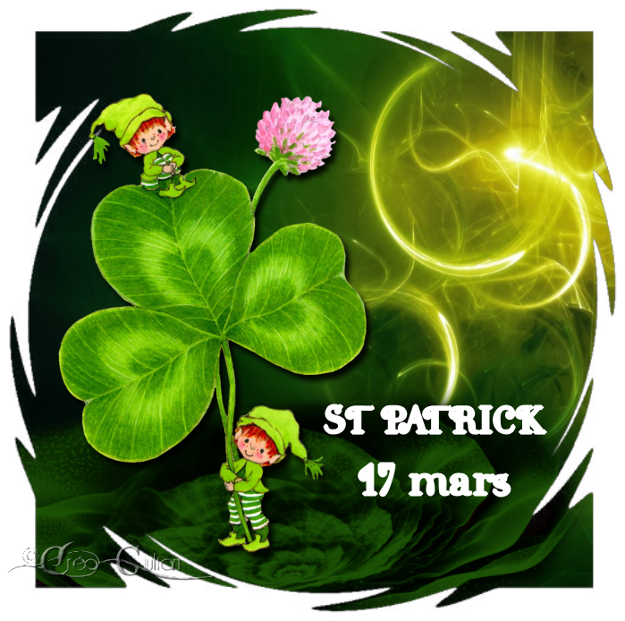1.St Patrick 003