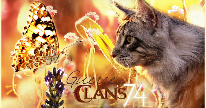 La Guerre des Clans 74