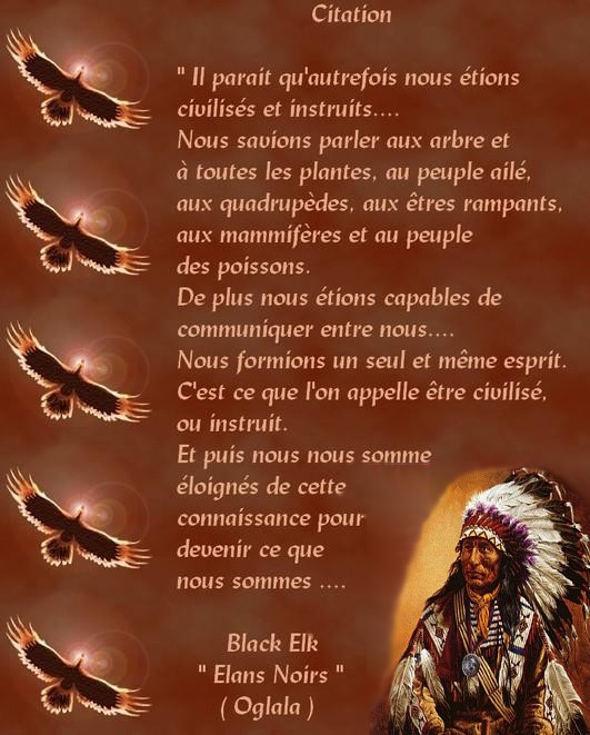 A La Vie A La Mort Skyz Parole Sagesse Amérindienne
